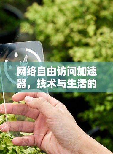 网络自由访问加速器，技术与生活的新连接