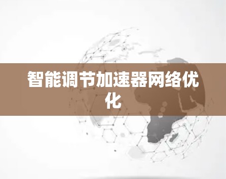 智能调节加速器网络优化 智能调节加速器网络优化