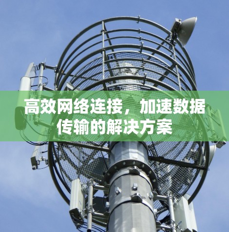 高效网络连接，加速数据传输的解决方案