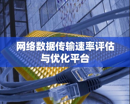 网络数据传输速率评估与优化平台