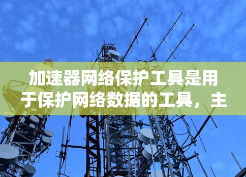 加速器网络保护工具是用于保护网络数据的工具，主要包括加密、防火墙、多层保护系统等。以下是系统的详细说明