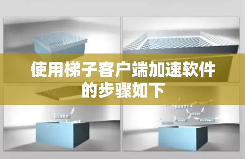 使用<strong>梯子</strong>客户端加速软件的步骤如下