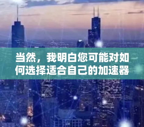 当然，我明白您可能对如何选择适合自己的加速器套餐价格有所困惑。以下是关于加速器套餐价格的详细信息，供您参考