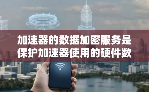 加速器的数据加密服务是保护加速器使用的硬件数据，防止未经授权的访问，确保数据安全。以下是对该领域的详细总结