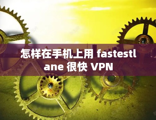 怎样在手机上用 fastestlane 很快 <strong>VPN</strong>