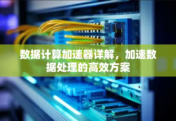 数据计算加速器详解，加速数据处理的高效方案