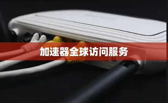 加速器全球访问服务