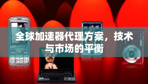全球加速器代理方案，技术与市场的平衡