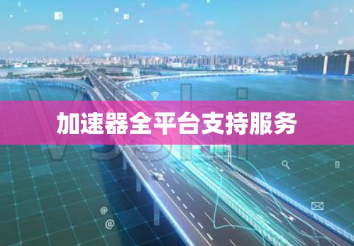 加速器全平台支持服务