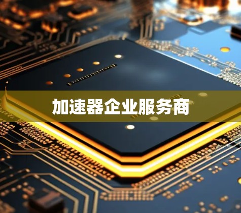 加速器企业服务商