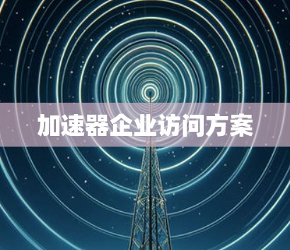 加速器企业访问方案 加速器企业访问方案
