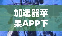 加速器苹果APP下载，最全下载指南