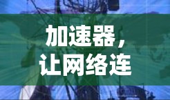 加速器,让网络连接更高效 加速器,让网络连接更高效