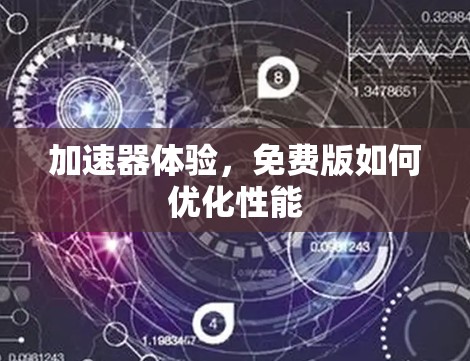 加速器体验，免费版如何优化性能