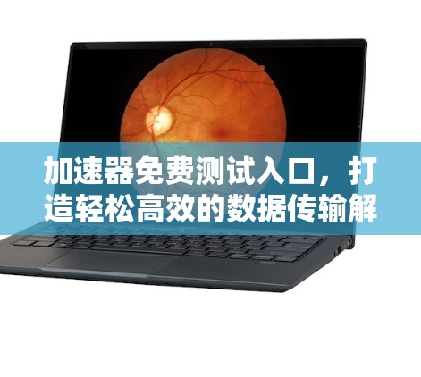 加速器免费测试入口，打造轻松高效的数据传输解决方案