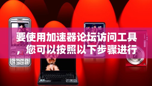 要使用加速器论坛访问工具，您可以按照以下步骤进行操作