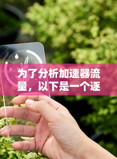 为了分析加速器流量，以下是一个逐步指南