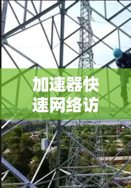 加速器快速网络访问（AFNA）