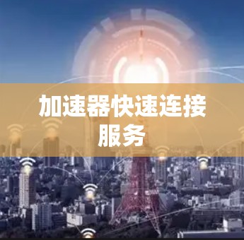 加速器快速连接服务