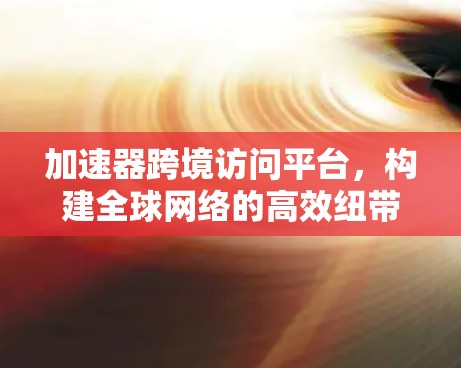 加速器跨境访问平台，构建全球网络的高效纽带
