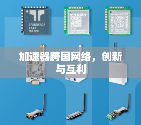 加速器跨国网络，创新与互利