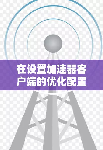 在设置加速器客户端的优化配置时，您可以按照以下步骤操作