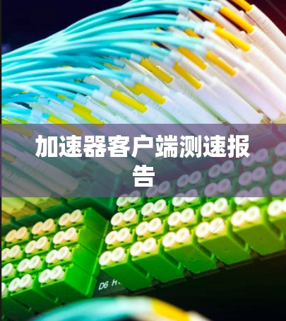 加速器客户端测速报告