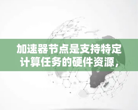 加速器节点是支持特定计算任务的硬件资源，包括显卡、多卡处理器等。以下是加速器节点的分类和特点