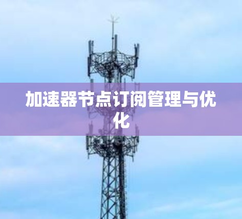 加速器节点订阅管理与优化 加速器节点订阅管理与优化