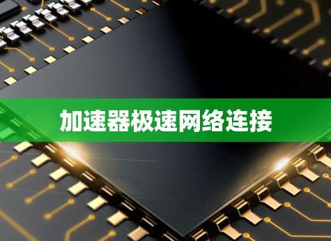 加速器极速网络连接
