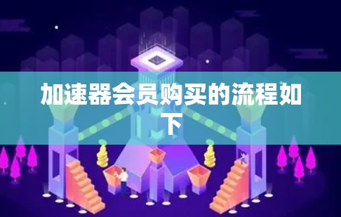加速器会员购买的流程如下