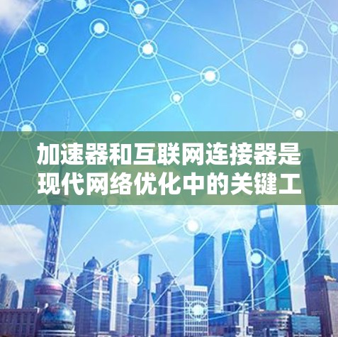 加速器和互联网连接器是现代网络优化中的关键工具，它们在提升网络性能、提高用户体验方面发挥着重要作用。以下是对这两个工具的详细分析和建议