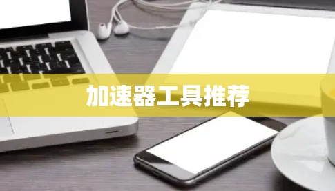 加速器工具推荐