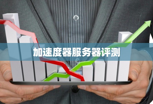 加速度器服务器评测