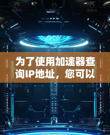 为了使用加速器查询IP地址，您可以按照以下步骤进行操作