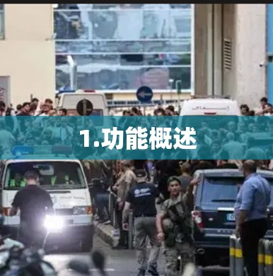 1.功能概述 1.功能概述