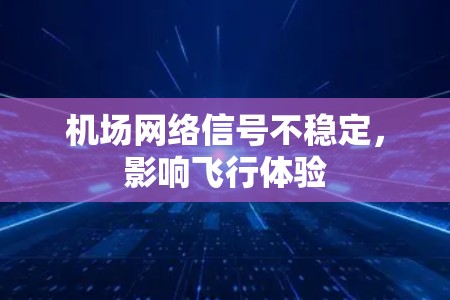 机场网络信号不稳定，影响飞行体验